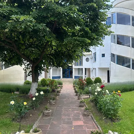 Vega View * 스베티 블라스